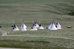 Head Smashed In Buffalo Jump July-08 001