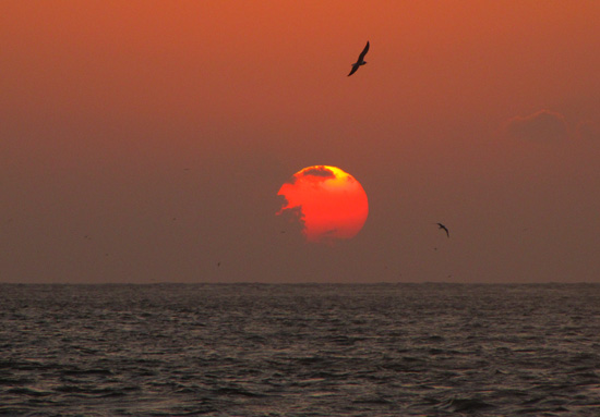 SunriseE