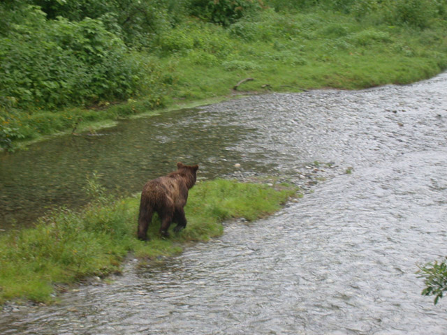 Alaskan Adventure