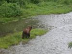 Alaskan Adventure