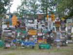 Alaska 2007 022