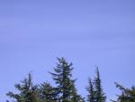 Alaska 2007 040