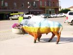 #1 Painted buffalo in Custer SD