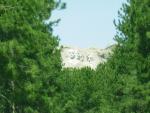 Shot from highway to Custer State Park
