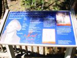 T Jefferson storyboard from President's Walk
