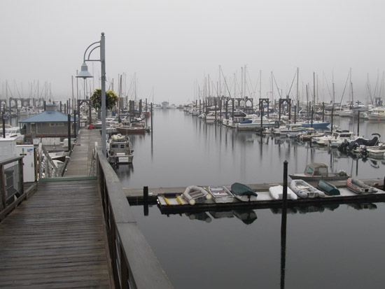 Fog7e