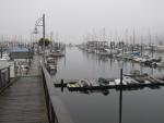 Fog7e